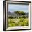 Awesome South Africa Collection Square - Umbrella Acacia Tree II-Philippe Hugonnard-Framed Photographic Print