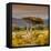 Awesome South Africa Collection Square - Umbrella Acacia Tree III-Philippe Hugonnard-Framed Premier Image Canvas