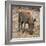 Awesome South Africa Collection Square - Warthog-Philippe Hugonnard-Framed Photographic Print