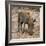 Awesome South Africa Collection Square - Warthog-Philippe Hugonnard-Framed Photographic Print