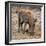Awesome South Africa Collection Square - Warthog-Philippe Hugonnard-Framed Photographic Print