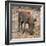 Awesome South Africa Collection Square - Warthog-Philippe Hugonnard-Framed Photographic Print