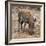 Awesome South Africa Collection Square - Warthog-Philippe Hugonnard-Framed Photographic Print