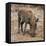 Awesome South Africa Collection Square - Warthog-Philippe Hugonnard-Framed Premier Image Canvas