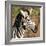 Awesome South Africa Collection Square - Zebra Head-Philippe Hugonnard-Framed Photographic Print