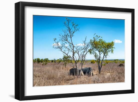 Awesome South Africa Collection - Two white Rhino slepping-Philippe Hugonnard-Framed Photographic Print