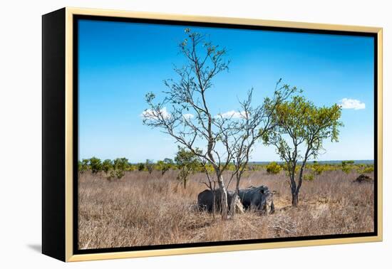 Awesome South Africa Collection - Two white Rhino slepping-Philippe Hugonnard-Framed Premier Image Canvas