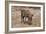 Awesome South Africa Collection - Warthog-Philippe Hugonnard-Framed Photographic Print