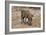 Awesome South Africa Collection - Warthog-Philippe Hugonnard-Framed Photographic Print