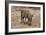 Awesome South Africa Collection - Warthog-Philippe Hugonnard-Framed Photographic Print