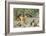 Awesome South Africa Collection - Young Impala-Philippe Hugonnard-Framed Photographic Print