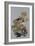 Awesome-Barbara Keith-Framed Giclee Print