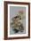 Awesome-Barbara Keith-Framed Giclee Print