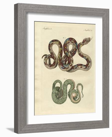 Awful Snake-null-Framed Giclee Print