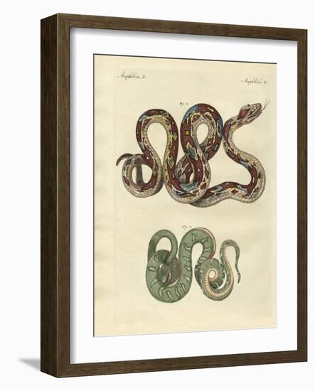 Awful Snake-null-Framed Giclee Print