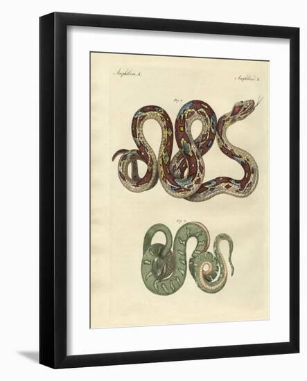 Awful Snake-null-Framed Giclee Print