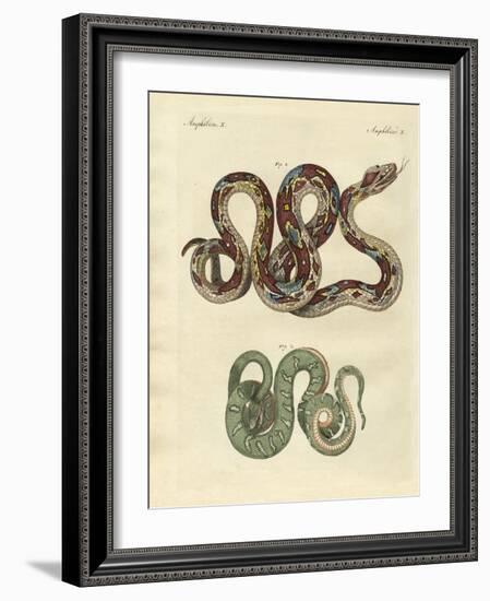 Awful Snake-null-Framed Giclee Print