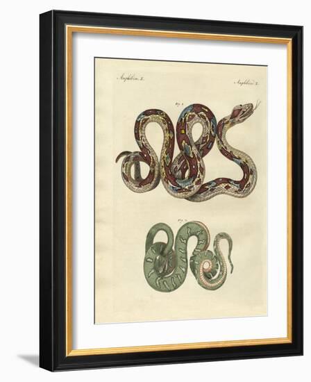 Awful Snake-null-Framed Giclee Print