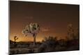 Photographic Print