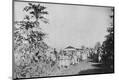 Photographic Print