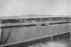 'Colonia de S. Bernardo', (Colony of Sao Bernardo do Campo), 1895-Axel Frick-Photographic Print