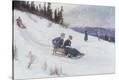Stretched Canvas Print