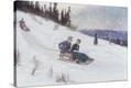 Stretched Canvas Print