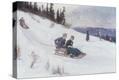 Stretched Canvas Print