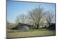 Photographic Print