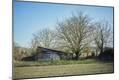 Photographic Print