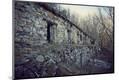 Premium Photographic Print