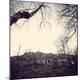 Premium Photographic Print