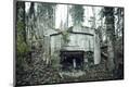 Premium Photographic Print