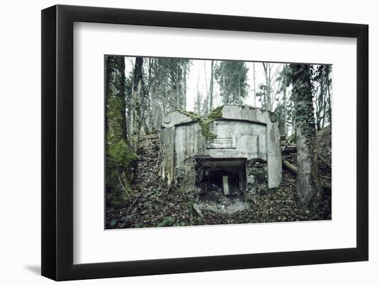 Photographic Print, , large