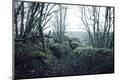 Premium Photographic Print