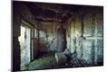 Photographic Print