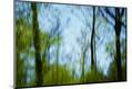 Premium Photographic Print