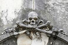 Historical Cemetery, Tomb, Burial Chamber, Skull, Medium Close-Up-Axel Schmies-Photographic Print