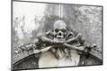 Photographic Print