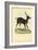 Axis Deer, 1863-79-Raimundo Petraroja-Framed Giclee Print