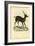 Axis Deer, 1863-79-Raimundo Petraroja-Framed Giclee Print