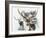 Axis Deer-Barbara Keith-Framed Giclee Print