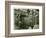 Axminster Jacquard Loom, Carpet Factory, 1923-English Photographer-Framed Photographic Print