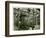 Axminster Jacquard Loom, Carpet Factory, 1923-English Photographer-Framed Photographic Print