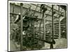 Axminster Jacquard Loom, Carpet Factory, 1923-English Photographer-Mounted Photographic Print
