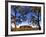 Ayers Rock, Northern Territory, Australia-Doug Pearson-Framed Photographic Print