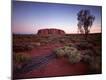 Photographic Print