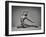 Ayla-Catchlight Studio-Framed Photographic Print