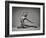 Ayla-Catchlight Studio-Framed Photographic Print