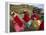 Aymara Women Dance and Spin in Festival of San Andres Celebration, Isla Del Sol, Bolivia-Andrew Watson-Framed Premier Image Canvas